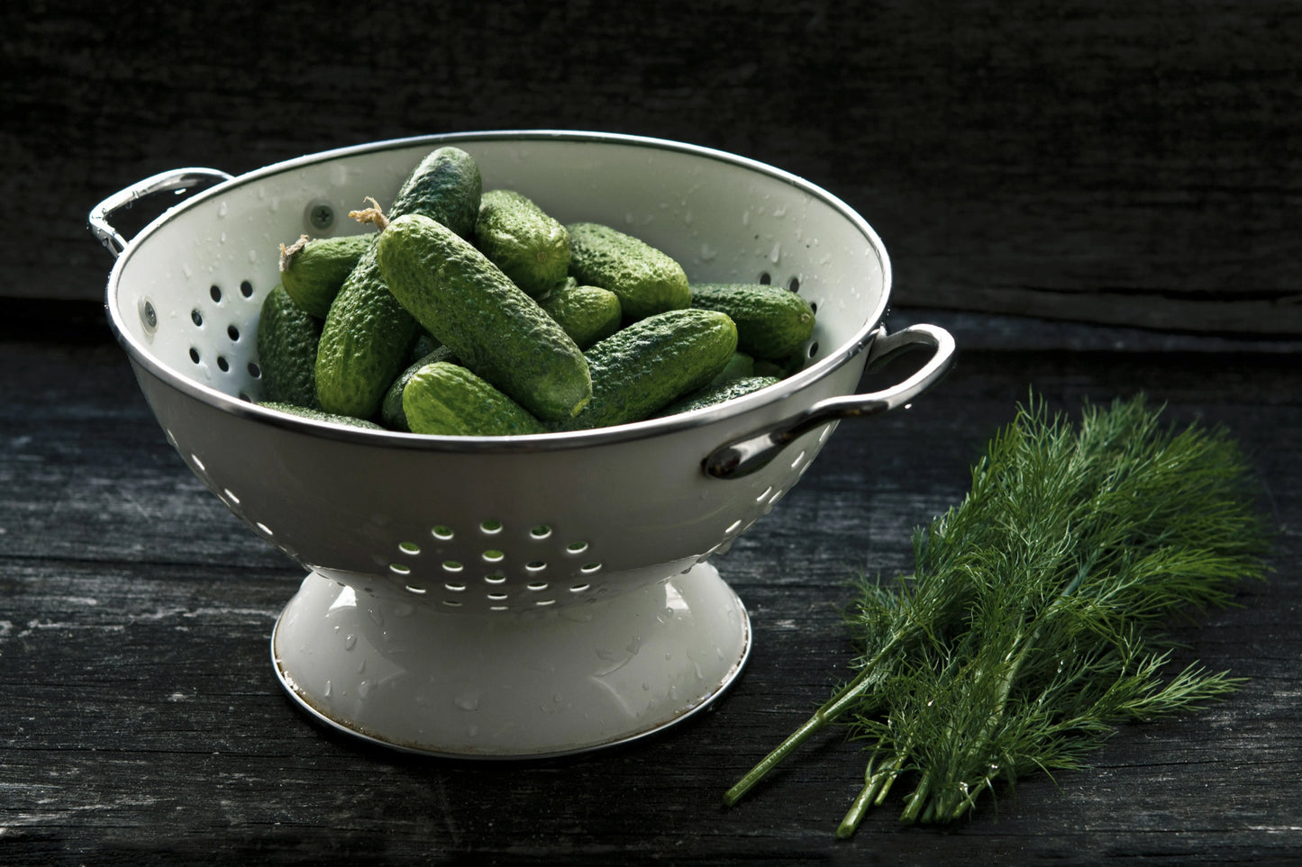 Cucumber- Boston Pickling