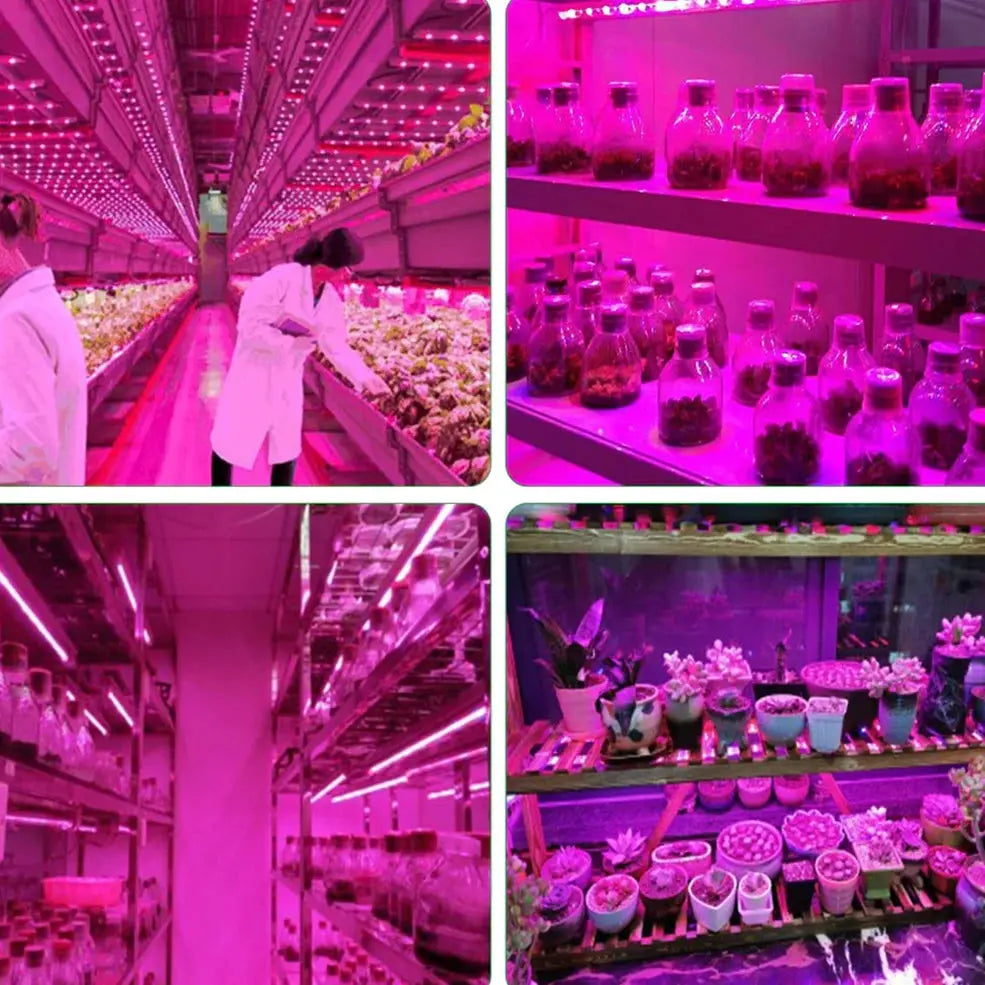 5V USB Led Plant Grow Light Full Spectrum LJ Seeds Co.