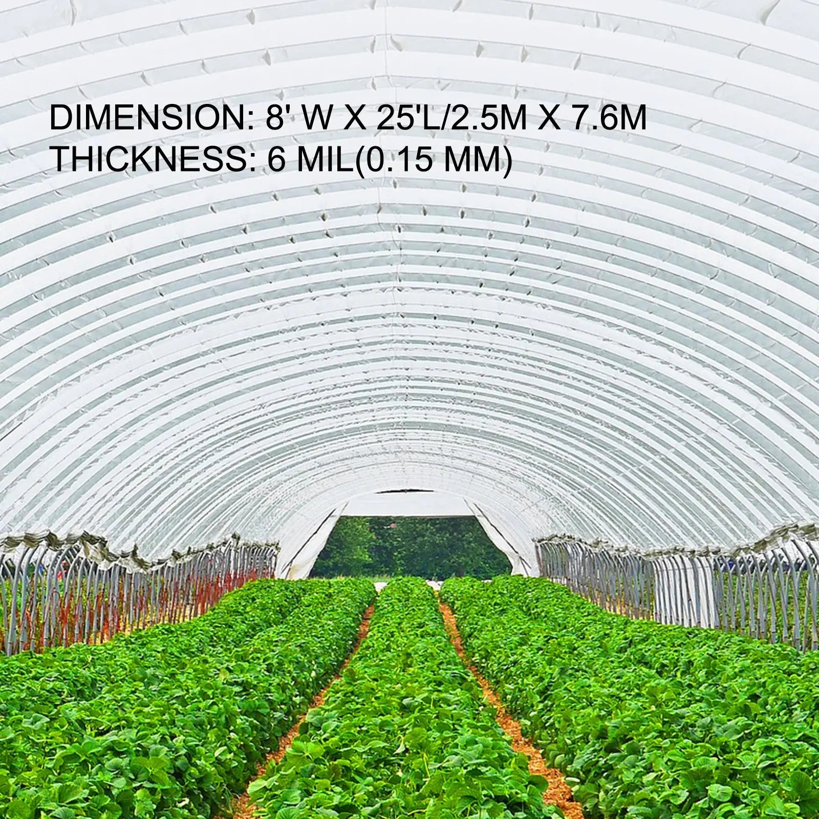 VEVOR Greenhouse Cover 6 Mil Clear Plastic Greenhouse Film UV Resistant Polyethylene Covering Garden Plants Flowers Agriculture LJ Seeds Co.