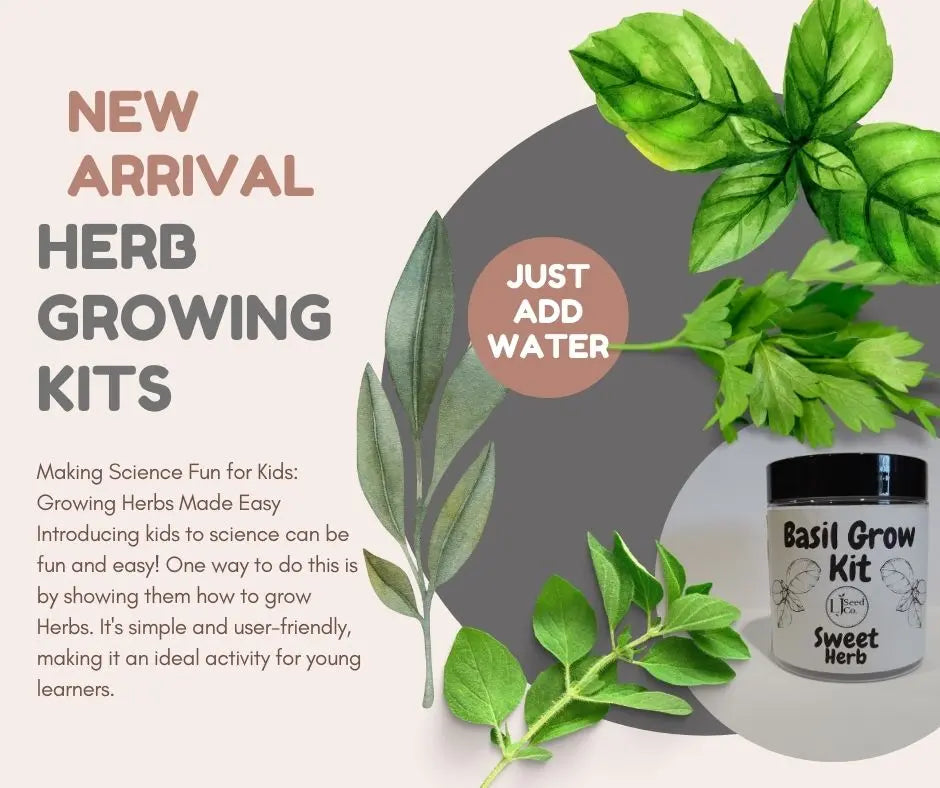 Herb Growing Kits