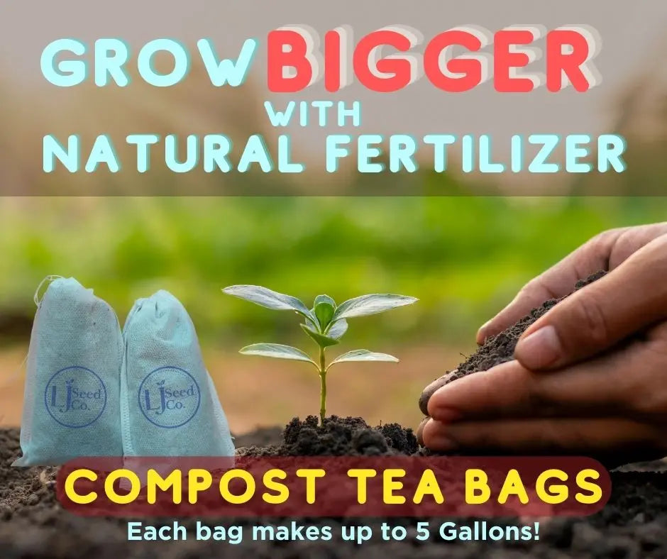 plant seeds in tea bags Compost Tea Bags