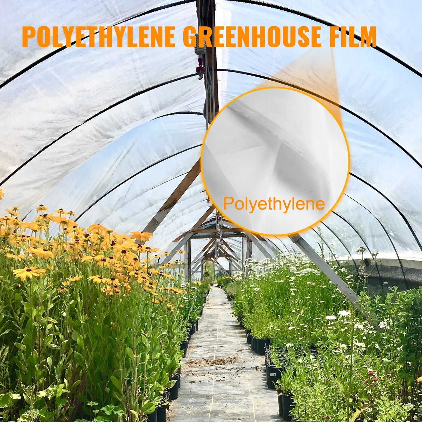 VEVOR Greenhouse Cover 6 Mil Clear Plastic Greenhouse Film UV Resistant Polyethylene Covering Garden Plants Flowers Agriculture LJ Seeds Co.