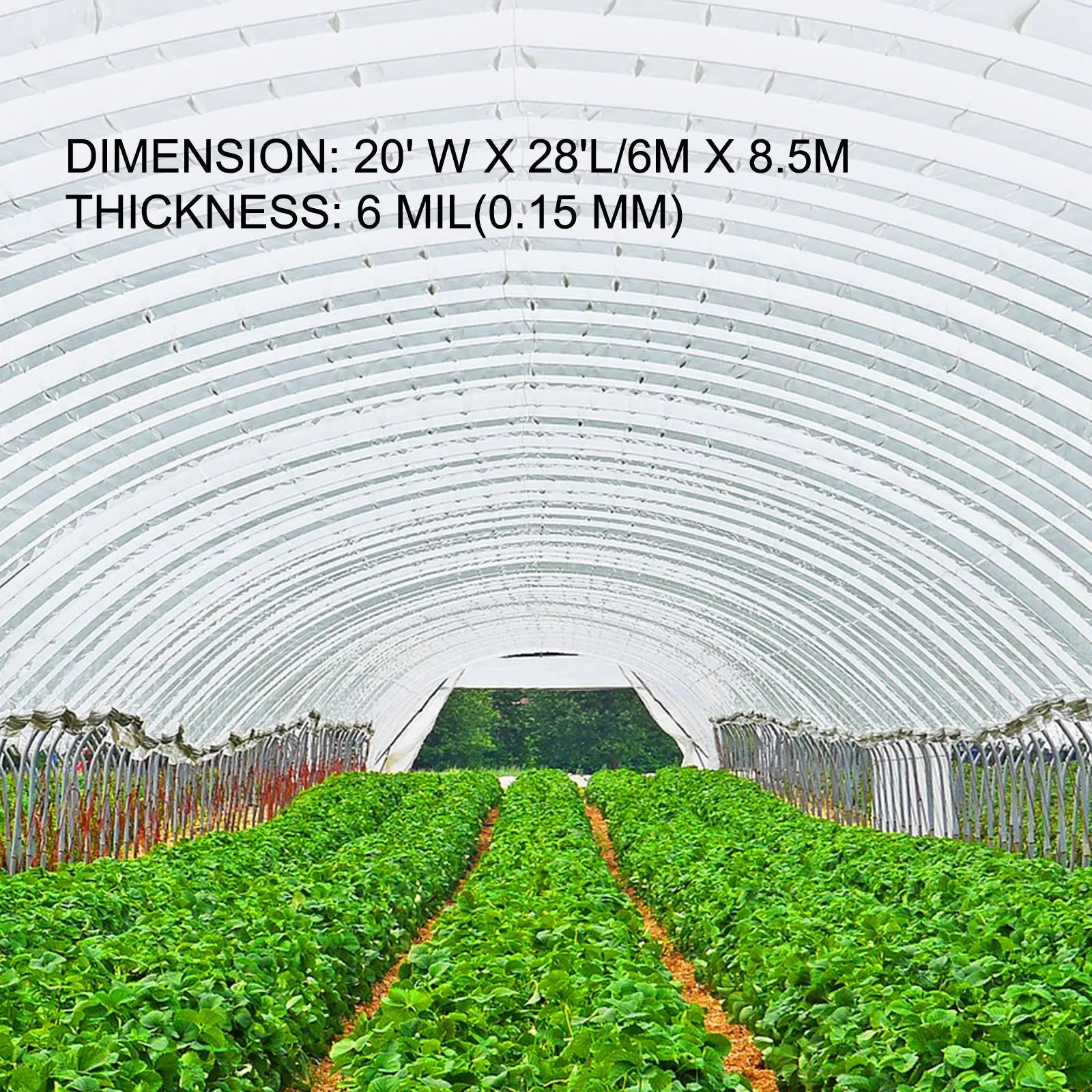 VEVOR Greenhouse Cover 6 Mil Clear Plastic Greenhouse Film UV Resistant Polyethylene Covering Garden Plants Flowers Agriculture LJ Seeds Co.