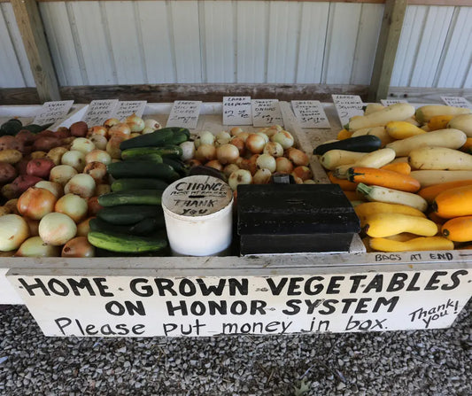 How-Starting-a-Local-Roadside-Stand-Can-Boost-Your-Income-and-Build-Community LJ Seeds Co.