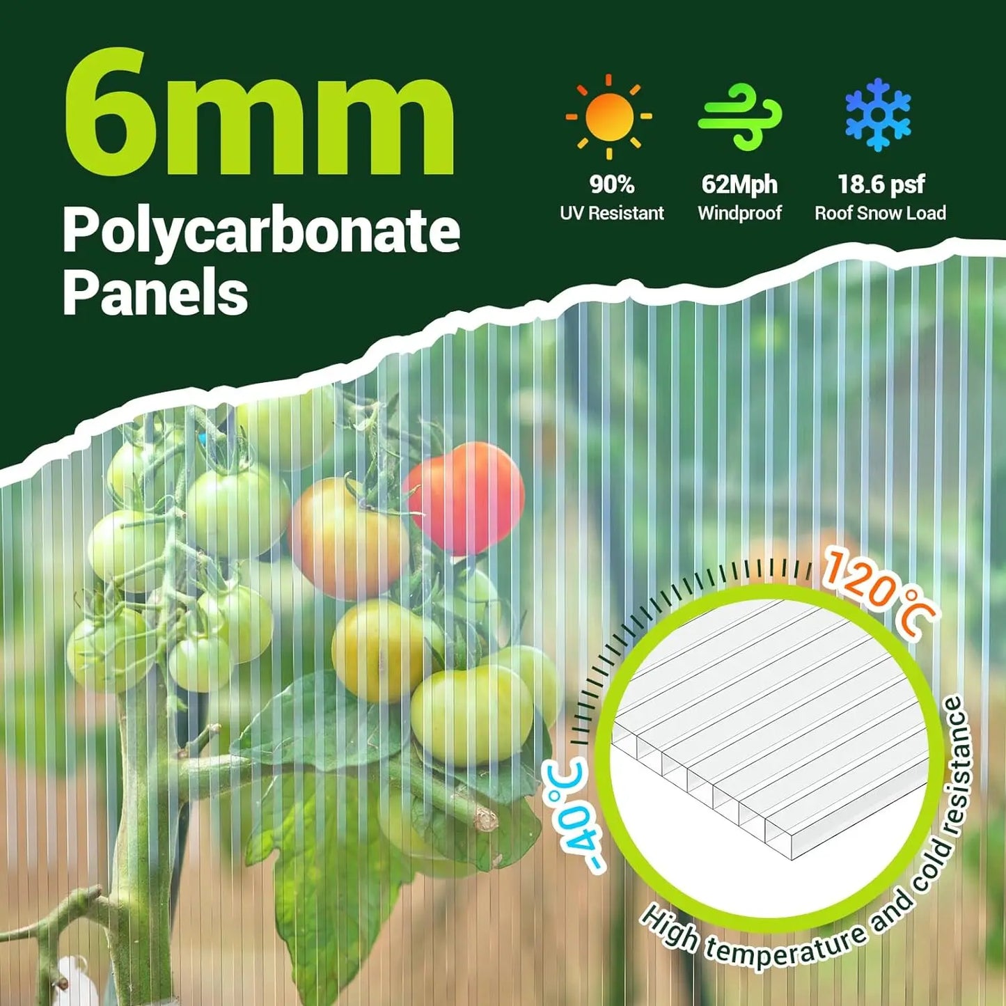 8x10 FT Polycarbonate Greenhouse