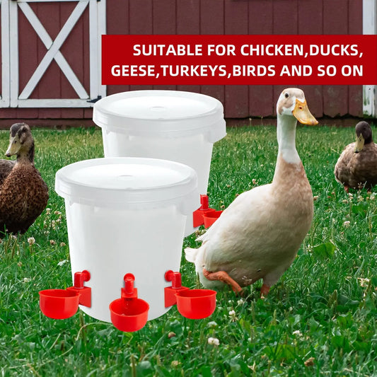 Chicken Drinking Cup Automatic