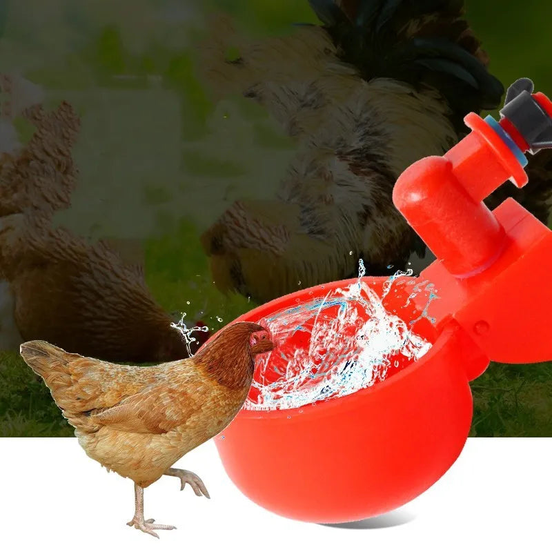 Chicken Drinking Cup Automatic