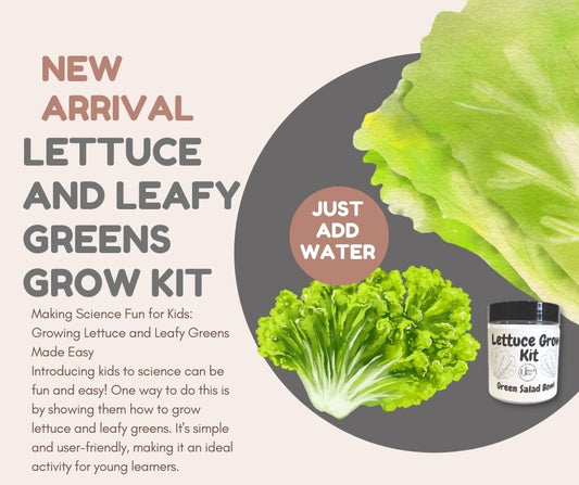 Lettuce Growing Kits